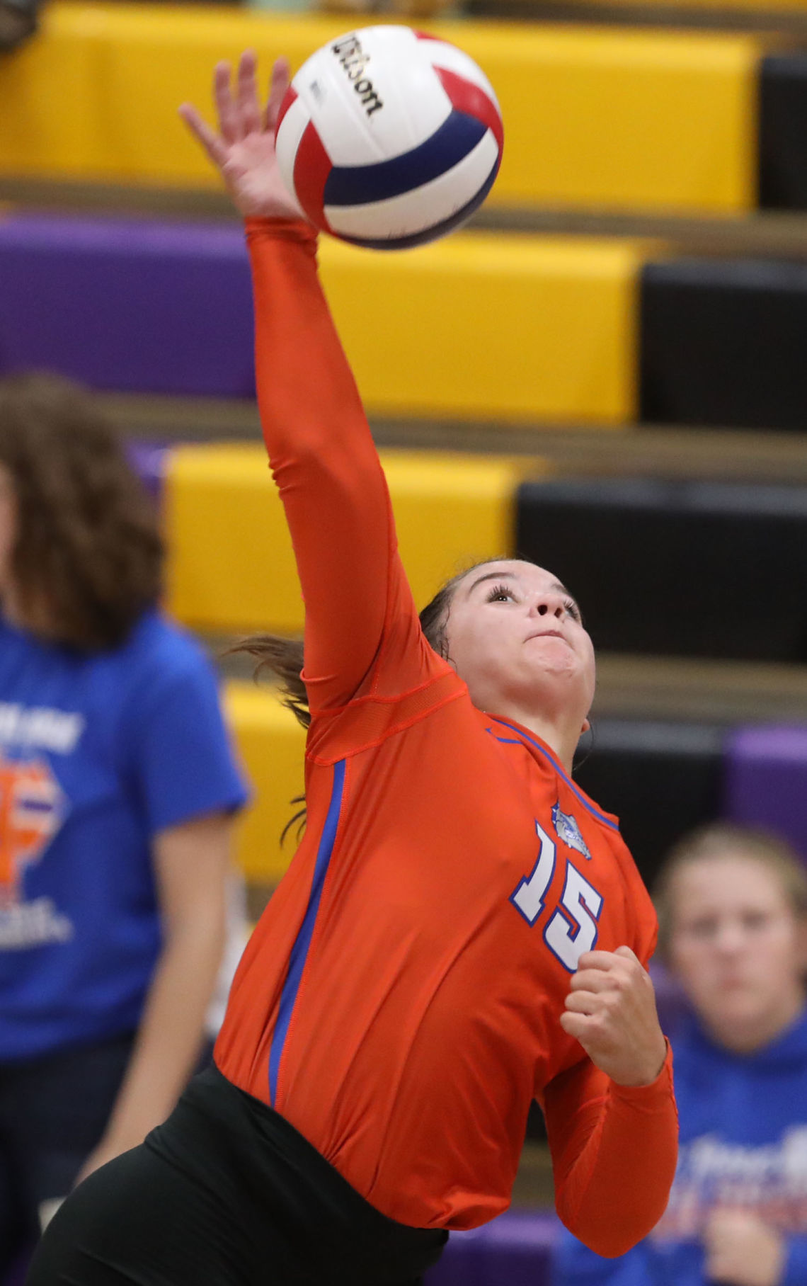 Mt Pulaski vs St Teresa volleyball 8 9.11.18.jpg